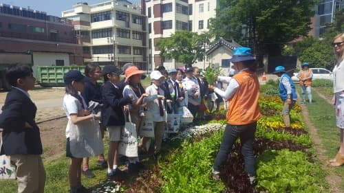 서울시, 미 대사관저 텃밭 무·배추로 7개국 어린이 김장 행사