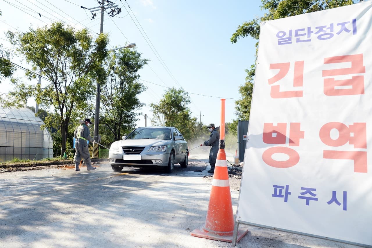 “ASF 재발방지, 물샐틈 없이” 경기도, 야생멧돼지 활동시기 방역대책 강화