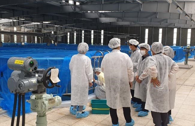 서울시, 수돗물 정수과정 이상無…유충발생 외부요인에 의한 것