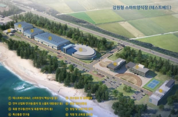 한국판 뉴딜로 스마트양식 클러스터 사업지로 강원도 선정