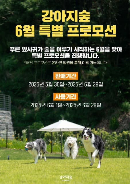 강아지숲 ‘6월 특별 프로모션’ 온라인 진행