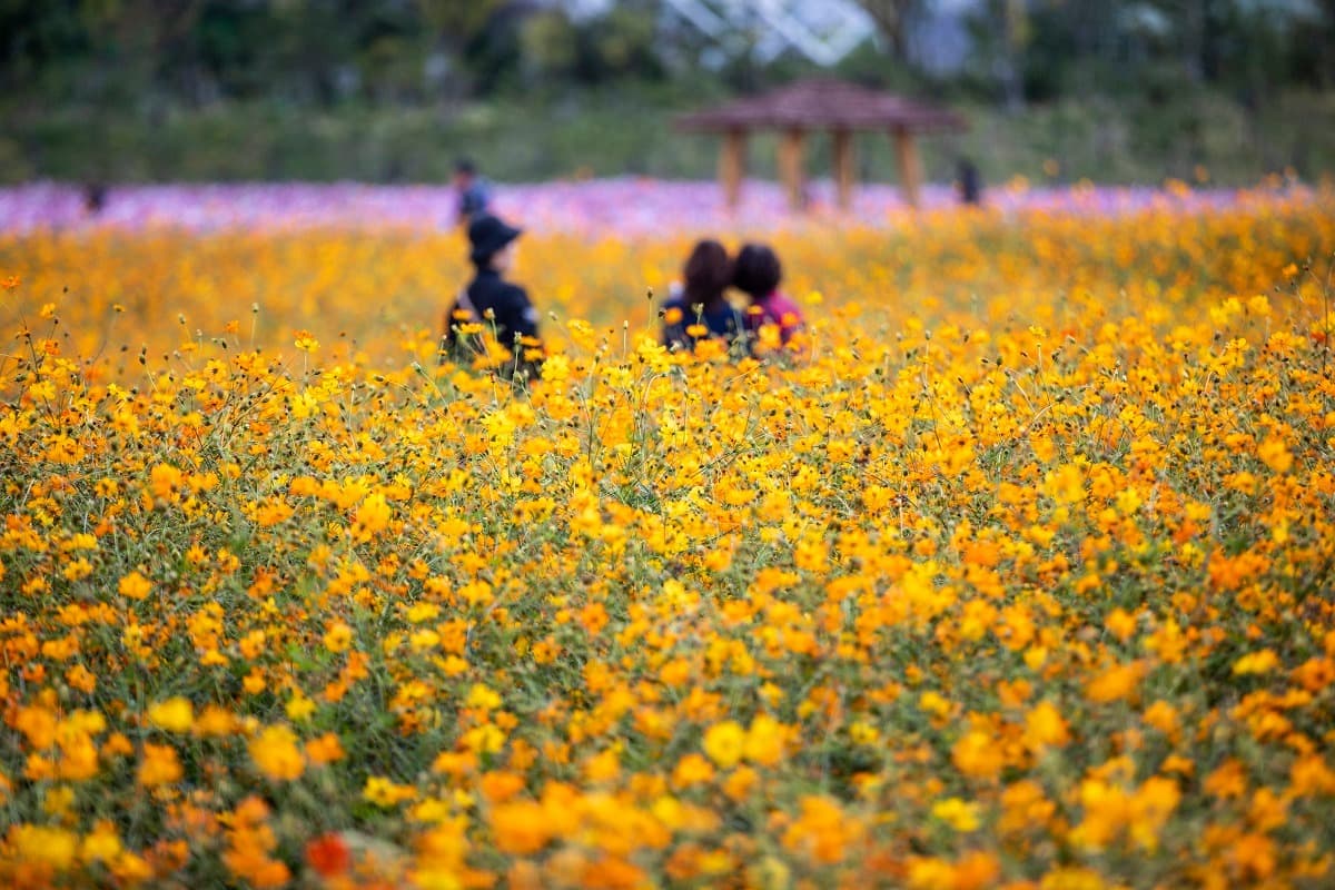 인천대공원, 소래습지 염전길...‘가을이 성큼’