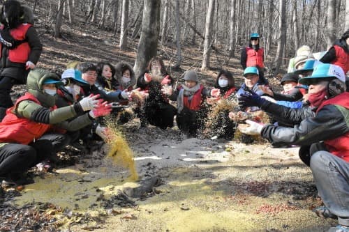 대구시, '겨울철 야생동물 먹이 주기' 행사 개최