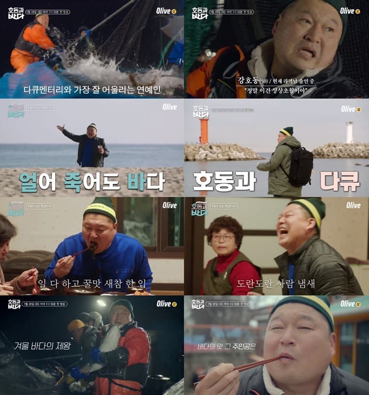 Olive ‘호동과 바다’, 강호동표 다큐멘터리 ‘궁금증 UP’