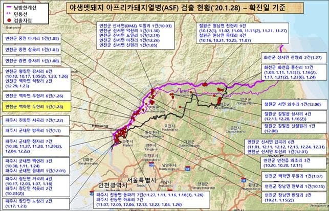 경기도 연천군 야생멧돼지 폐사체에서 아프리카돼지열병 바이러스 검출