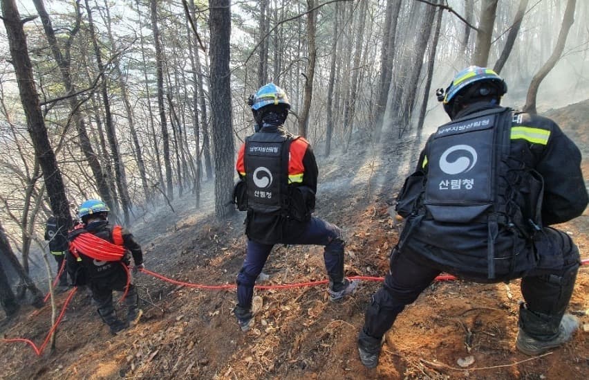 울산 울주군에서  발생한 산불진화 완료 후 잔불정리 중