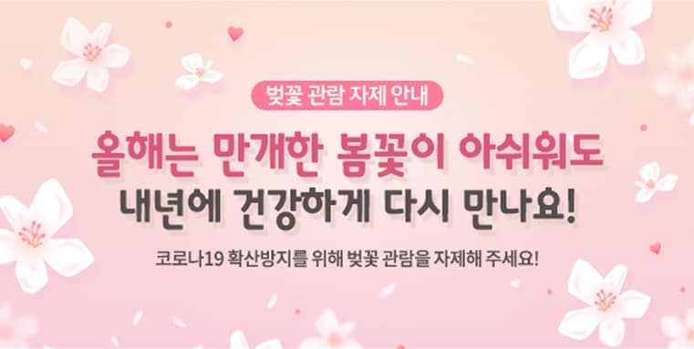 “벚꽃 구경하러 오지 마세요” 봄꽃 관람 자제 현수막 등 캠페인 동참 호소