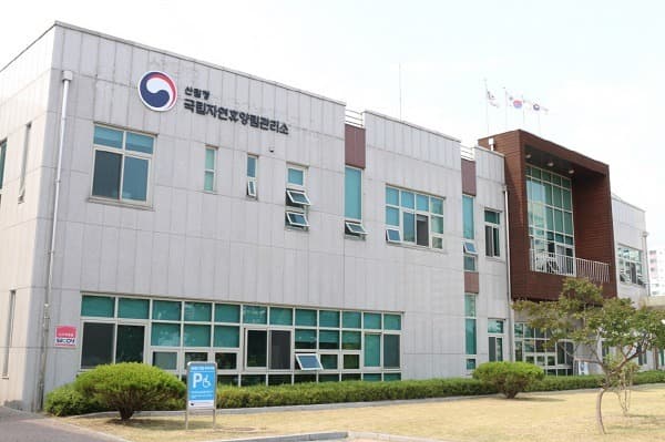 국립자연휴양림, 13일부터 일부 객실, 야영시설 운영 재개