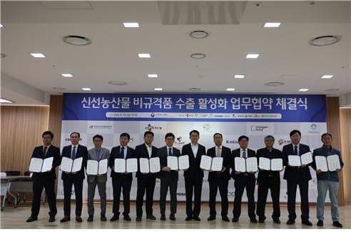 ’못난이 농산물‘ 수출 효자로 재탄생