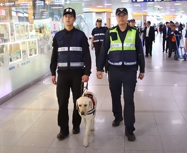 국가 위해 헌신한 ‘철도경찰탐지견’도 동물실험 못한다