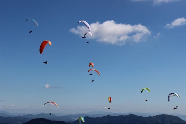 산림레포츠지도사 자격제도 도입! 청년 일자리 창출 기대