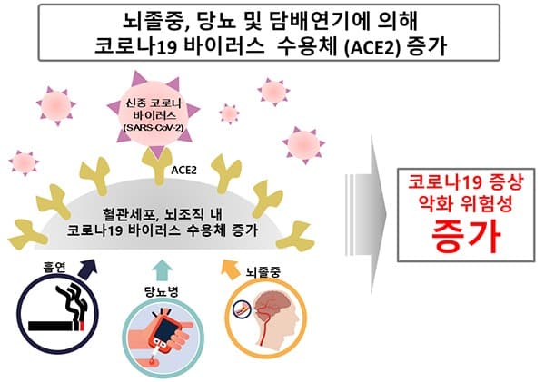 국립보건연구원, 흡연자·뇌졸중·당뇨환자가 코로나19에 더 취약
