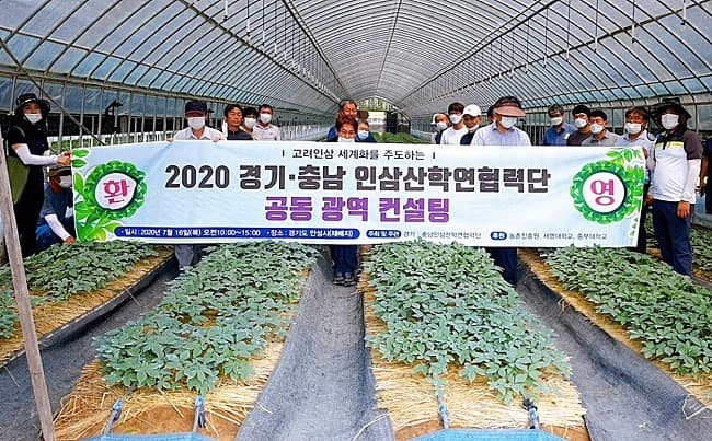 농기원, 인삼 재배농가 현장 애로사항 해결을 위한 재배컨설팅 진행