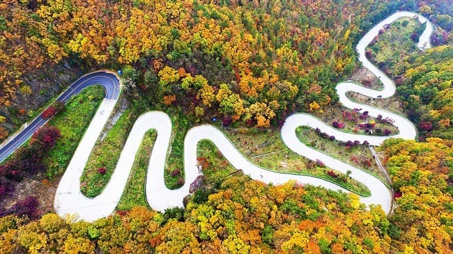 10월의 국유림 명품숲 ‘속리산 말티재 숲’ 선정