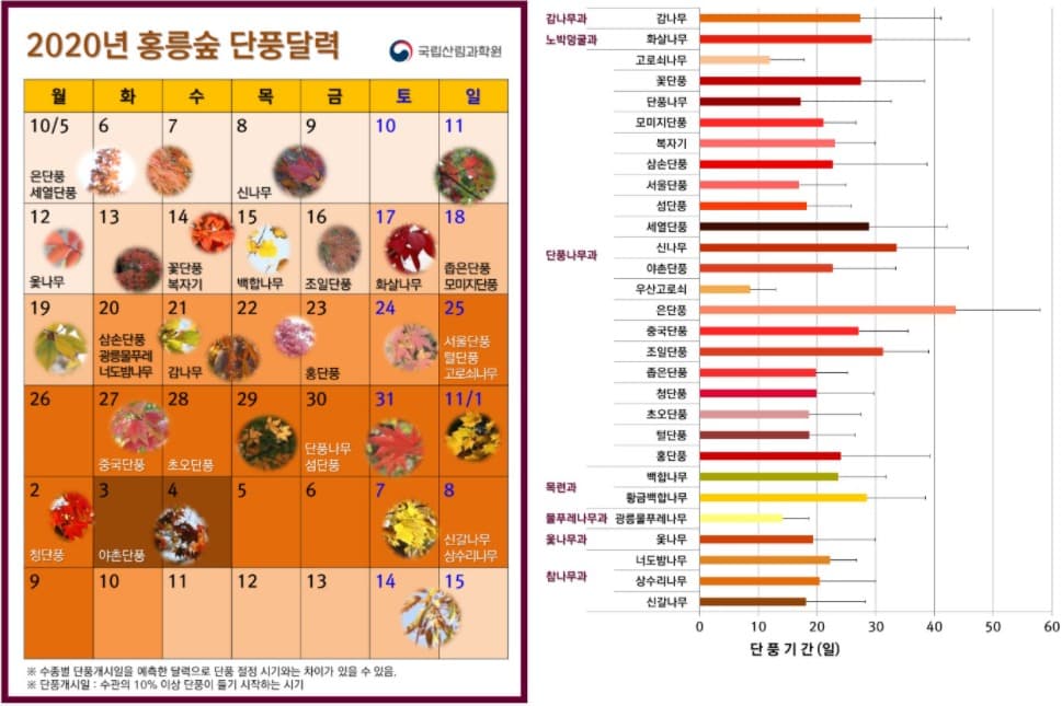 홍릉숲의 아름다운 단풍감상할 수 있는 첫 단풍 발표