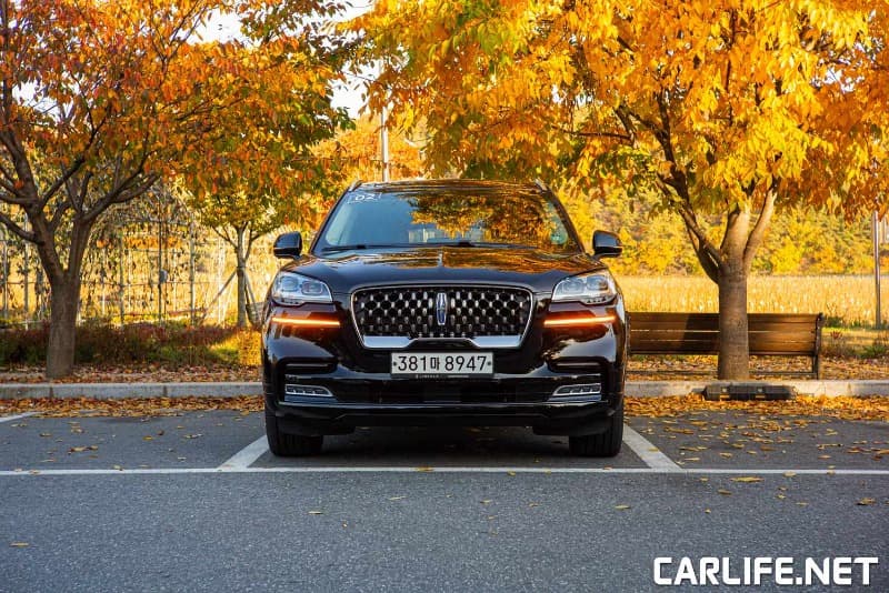 링컨의 비상 (飛上), LINCOLN AVIATOR