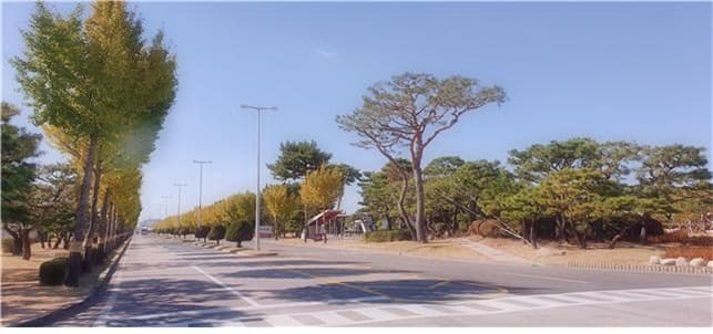 ‘경기도 숲속 공장 조성 사업’ 지난해까지 목표치 294% 달성