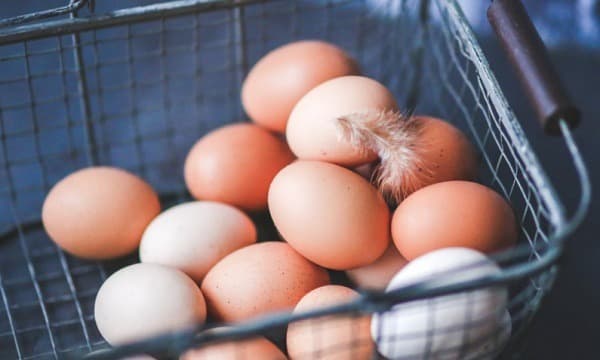 축산물 수급안정 대책…신선란·달걀가공품 한시 관세 면제