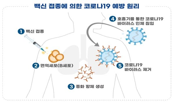 코로나백신 ‘유코백-19’ 국내개발 7번째 임상시험계획 승인
