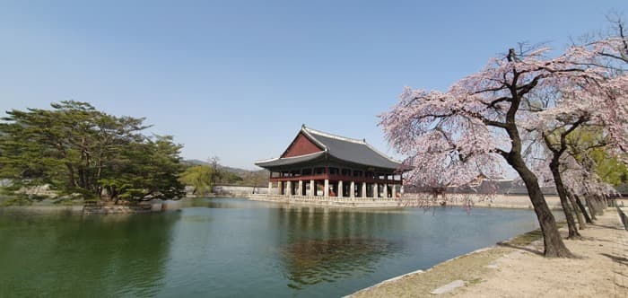 봄꽃 개화 평년보다 빨라...궁궐·왕릉 봄꽃 4월에 절정 전망
