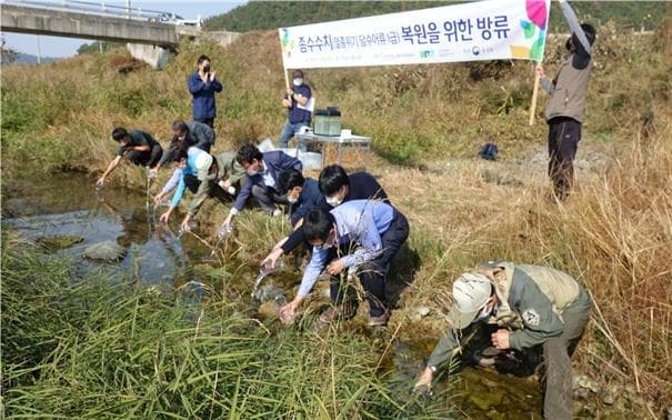 멸종위기Ⅰ급 꼬치동자개, 멸종위기 탈출 시도한다