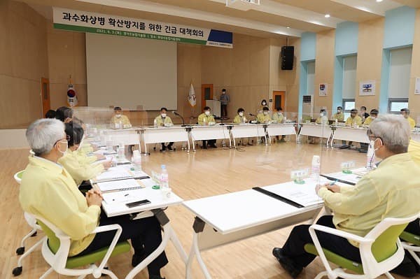 경기도내 과수화상병 급속 증가…도, 확산방지 총력 대응