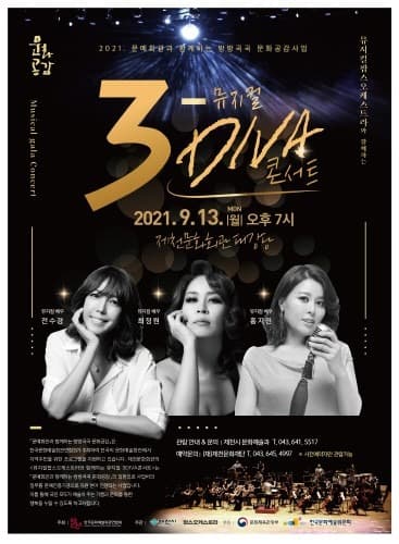 제천시, '뮤지컬팝스오케스트라와 함께하는 뮤지컬 3DIVA 콘서트'