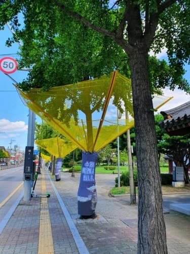 수원시, 가을철 '은행나무 열매' 악취 조기에 잡는다