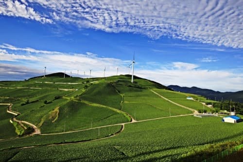 태백시 매봉산 풍력발전단지, '2021 산업관광지 12선' 선정