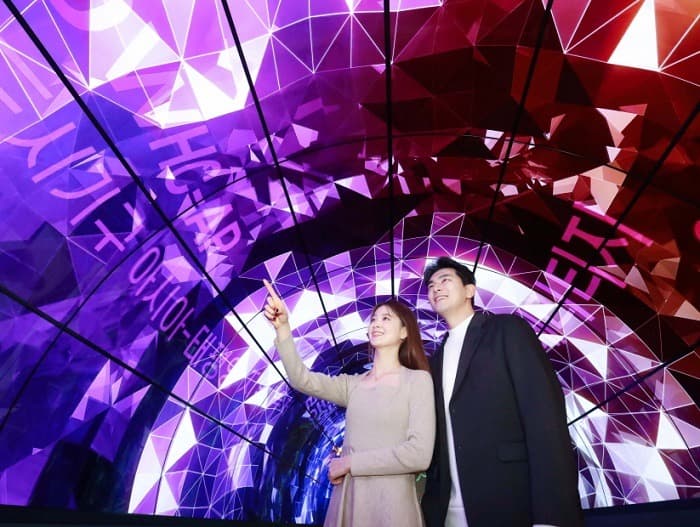 올레드 사이니지로 세계유산의 감동 고스란히 전한다
