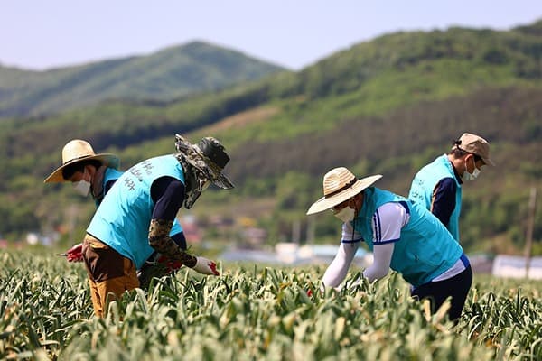 농번기 인력수요 중점관리 시군 선정…‘체류형 영농작업반’ 도입 