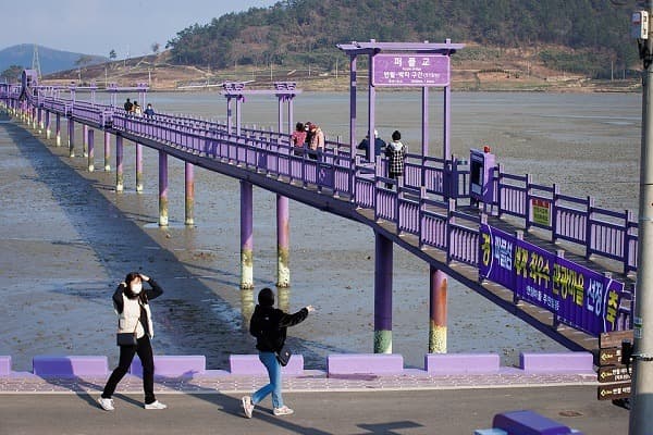 내년 문화의 달 행사 개최지로 전남 신안군 선정