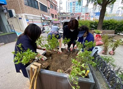 서울시민이 직접 가꾼 도시녹화 258개소 활짝!
