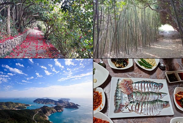 아름다운 풍경, 즐거운 길, 맛있는 음식...'가을 섬' 9곳 선정