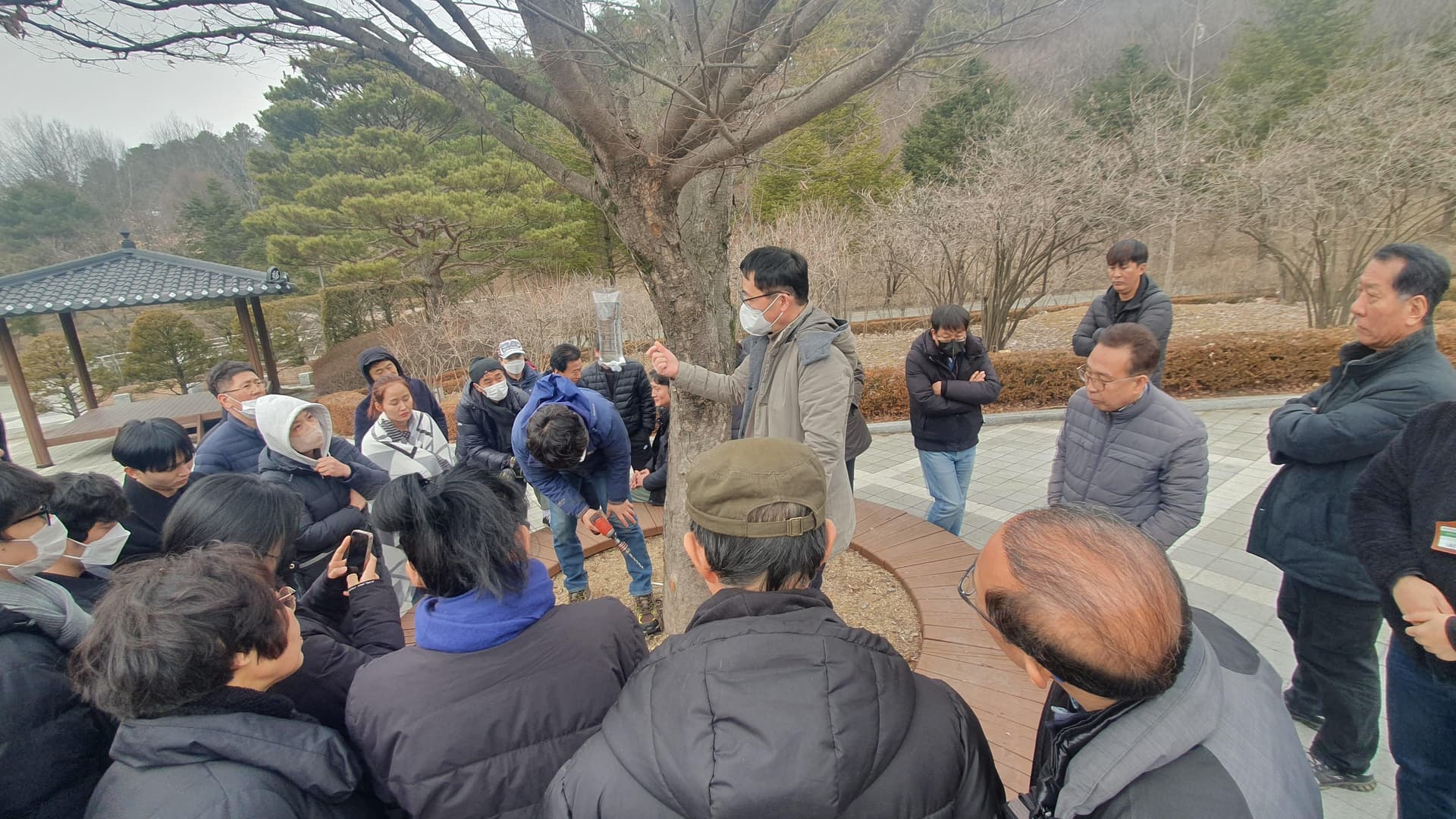 충북도, ‘수목치료기술자 양성과정’ 교육생 모집