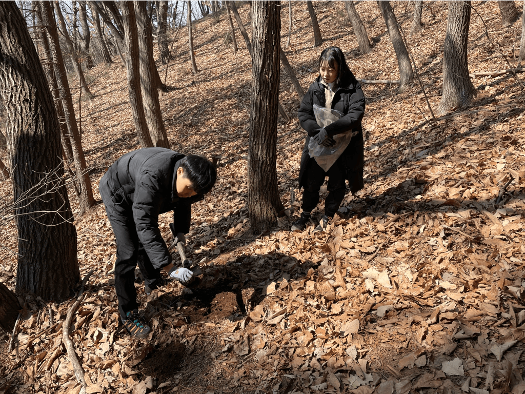 우리나라 산림토양 산성화 둔화 추세