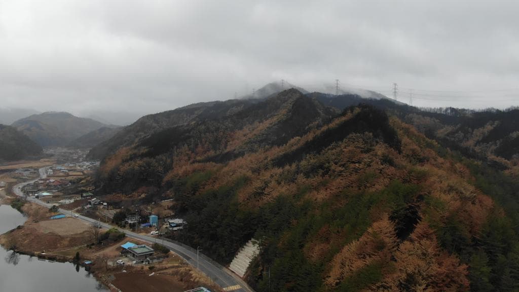 울진ㆍ삼척지역 산불피해지 산림생태복원 추진