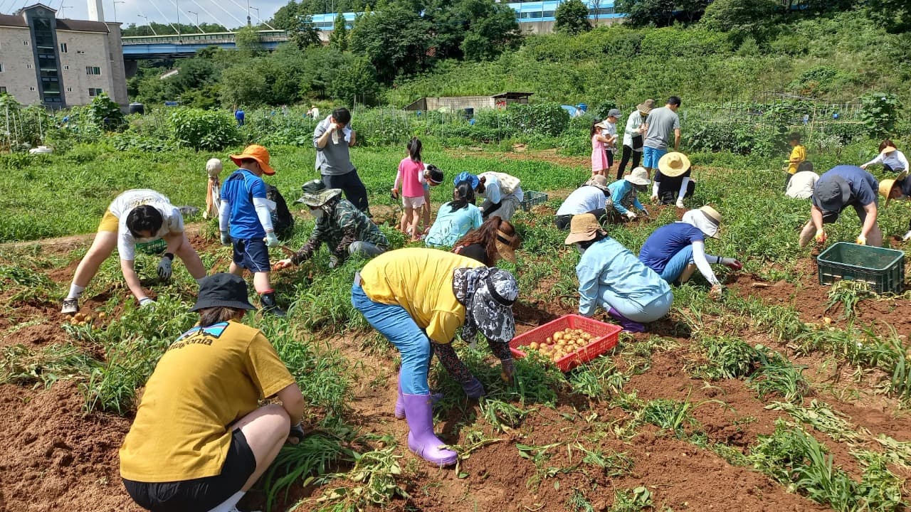 경기도농수산진흥원, ‘경기도민텃밭’ 분양 희망자 모집