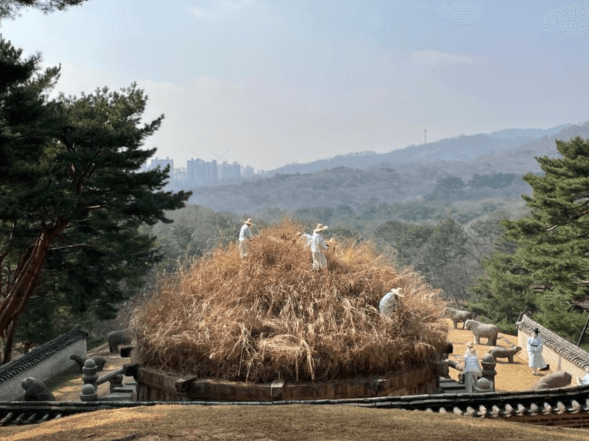 한식(寒食) 맞아 건원릉 억새 자르는 ‘청완 예초의(刈草儀)’ 거행