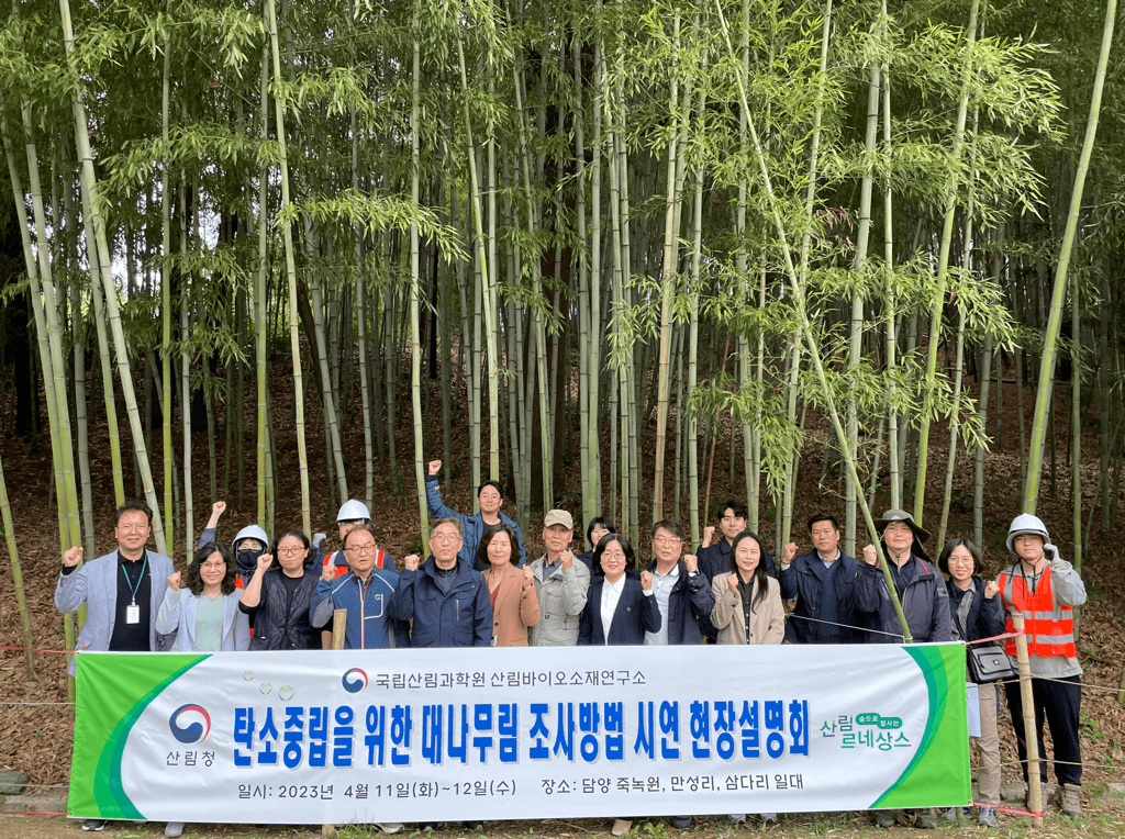 대나무 숲, 최고의 온실가스 흡수원이 될 준비 중!