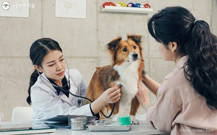 동물병원, 우리 동네 더 가까이…입점 가능구역 늘어난다