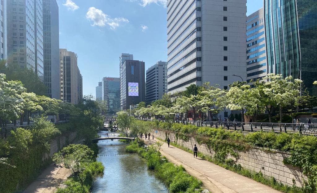 5월에 꼭 가봐야 할 명품 가로수길