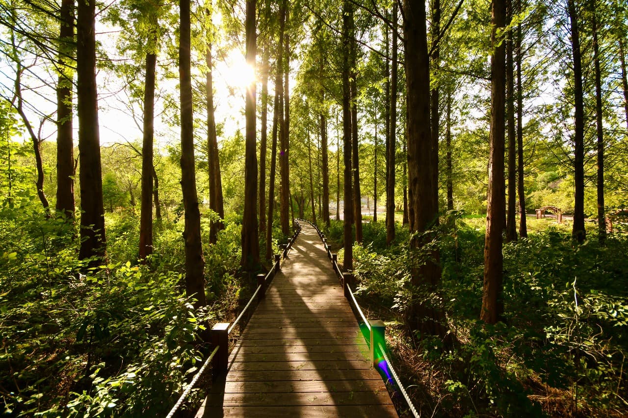 경기도 물향기수목원, 초미세먼지 저감능력실험 결과  수목원 외부보다 내부 미세먼지 32.1% 낮아. 여과능력 증명