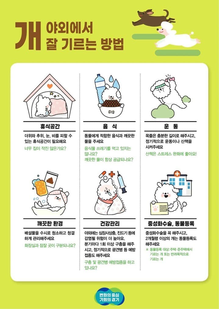 경기도, 실외사육견 중성화 수술 시행. 31개 시군 1,990마리 대상