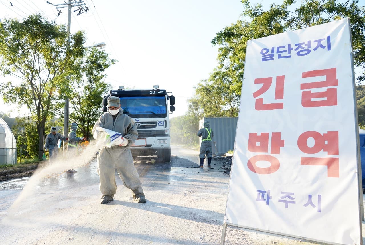 구제역 방역 강화…20일까지 전국 소·돼지 등 백신접종