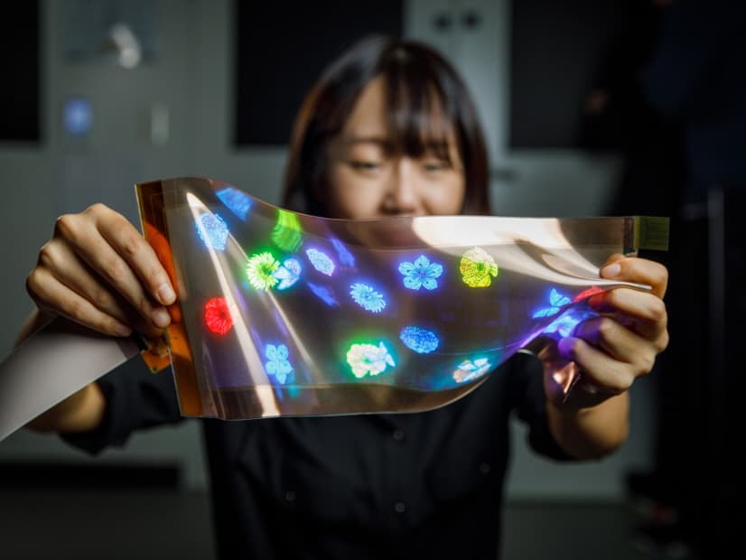 LG디스플레이, 초대형 OLED·스트레처블 디스플레이 기술 리더십 ‘세계가 주목’