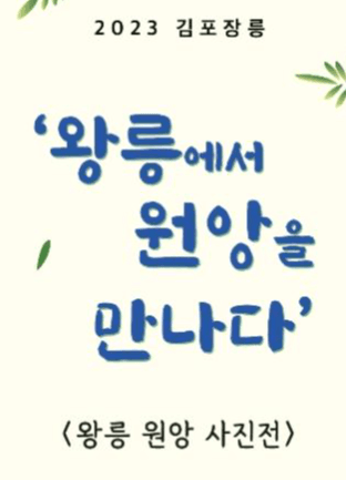 김포 장릉에서 천연기념물 원앙을 만나다