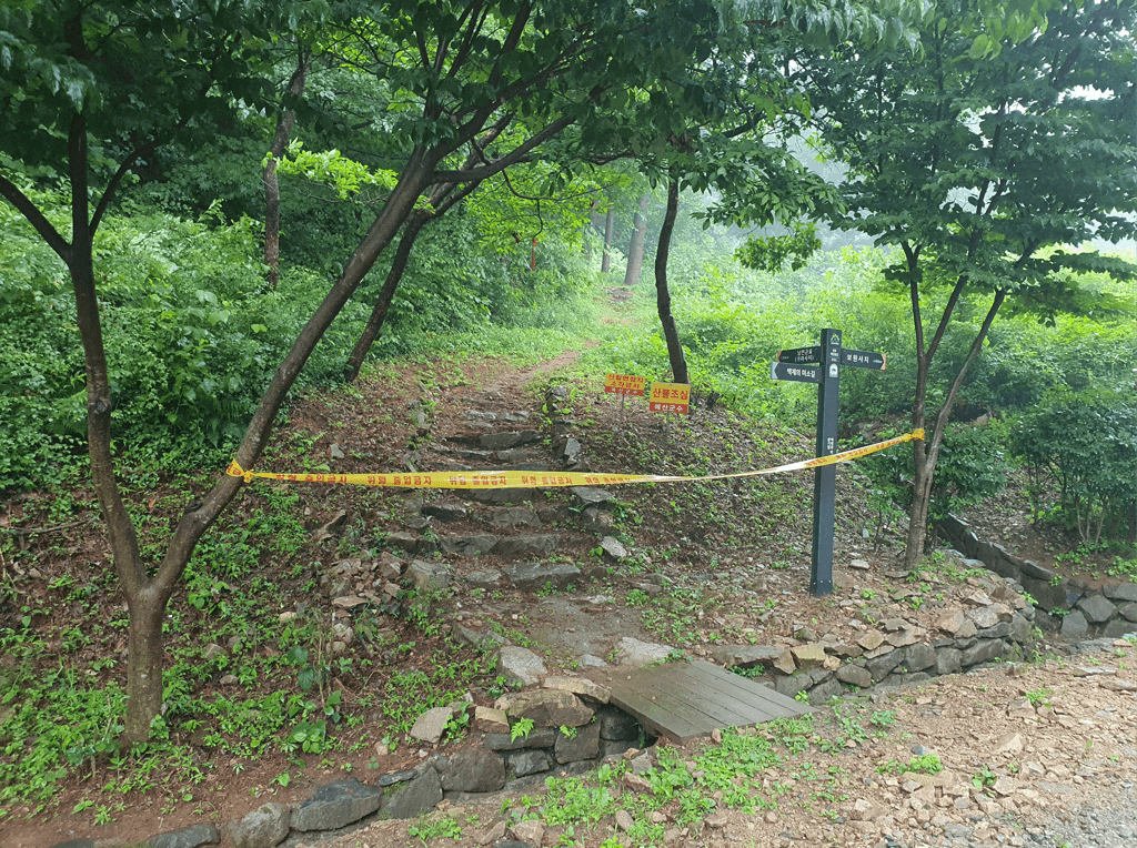 계속되는 집중호우에 디엠지(DMZ)펀치볼 둘레길 등 숲길 출입 통제