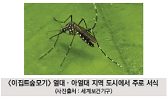 동남아 다녀왔다면 뎅기열 검사 무료로 받아보세요!