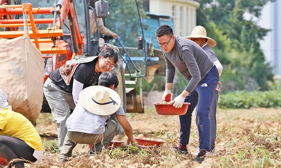 파이브가이즈 프라이즈 맛 비결은 '신선한 감자'... 전국 각지서 수확해 매장에서 바로 손질